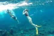 come snorkeling with us in bali at padang bai