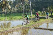 bali cycling tours. Ride through the Bali rice paddies
