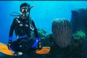 join us on the Scuba Diving Bali - Scuba Diving Certification
