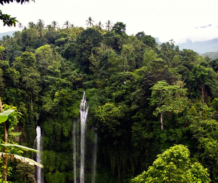 breath taking views at sekumpul Waterfall Bali